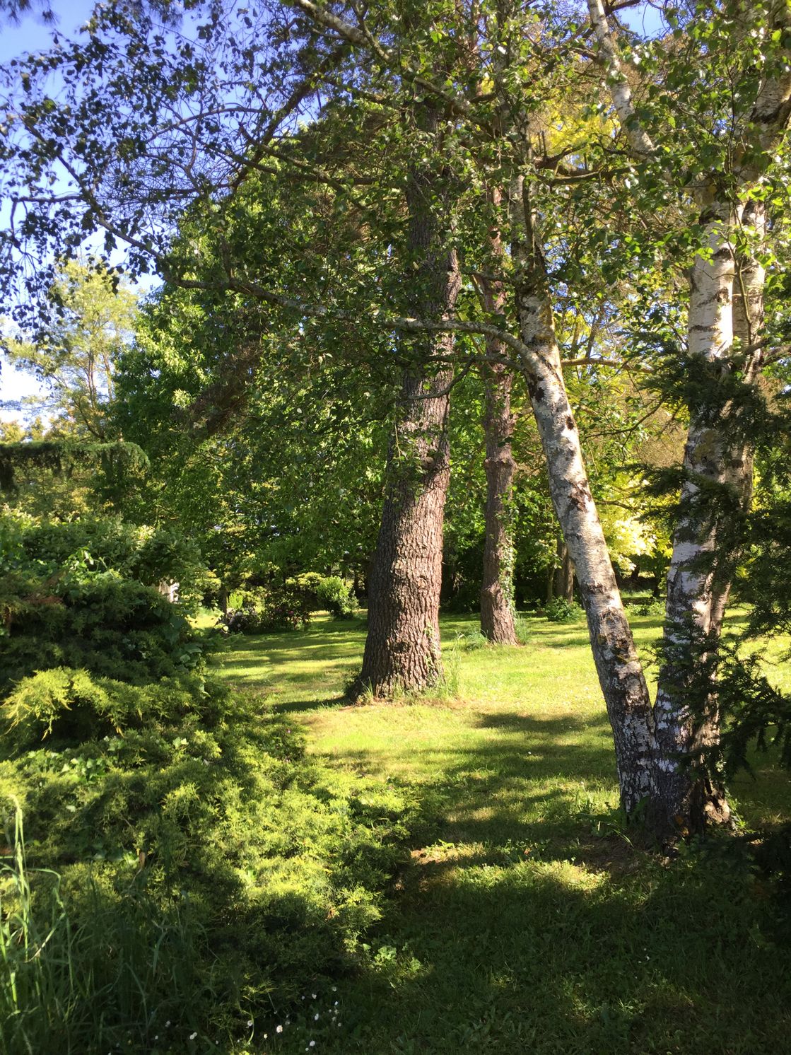 Vue d'un jardin arboré